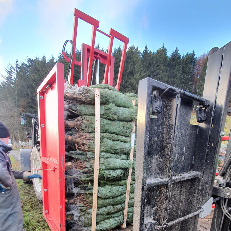 Weihnachtsbaumhandel Winkelmann